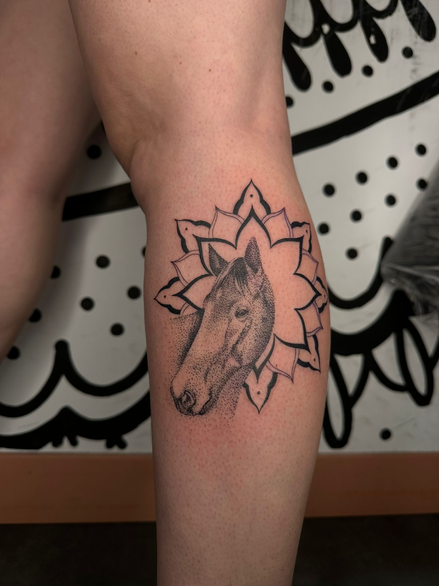 mandala-cheval-dilome