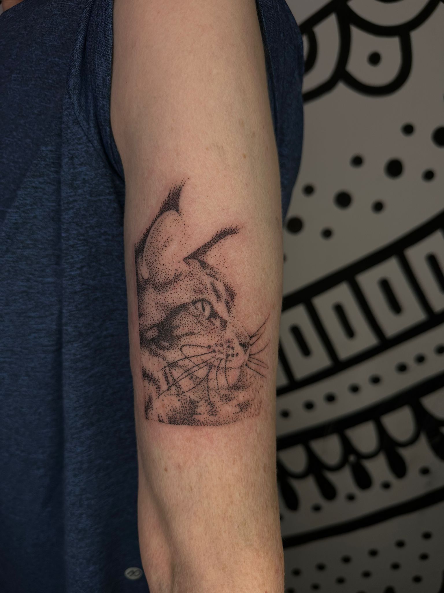 portrait-chat-dilome
