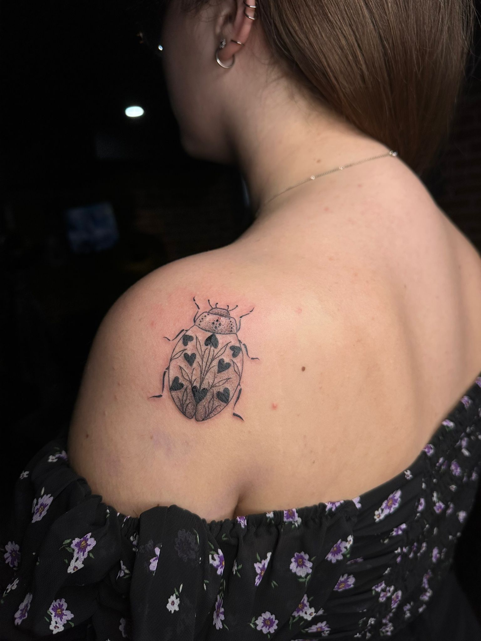 coccinelle