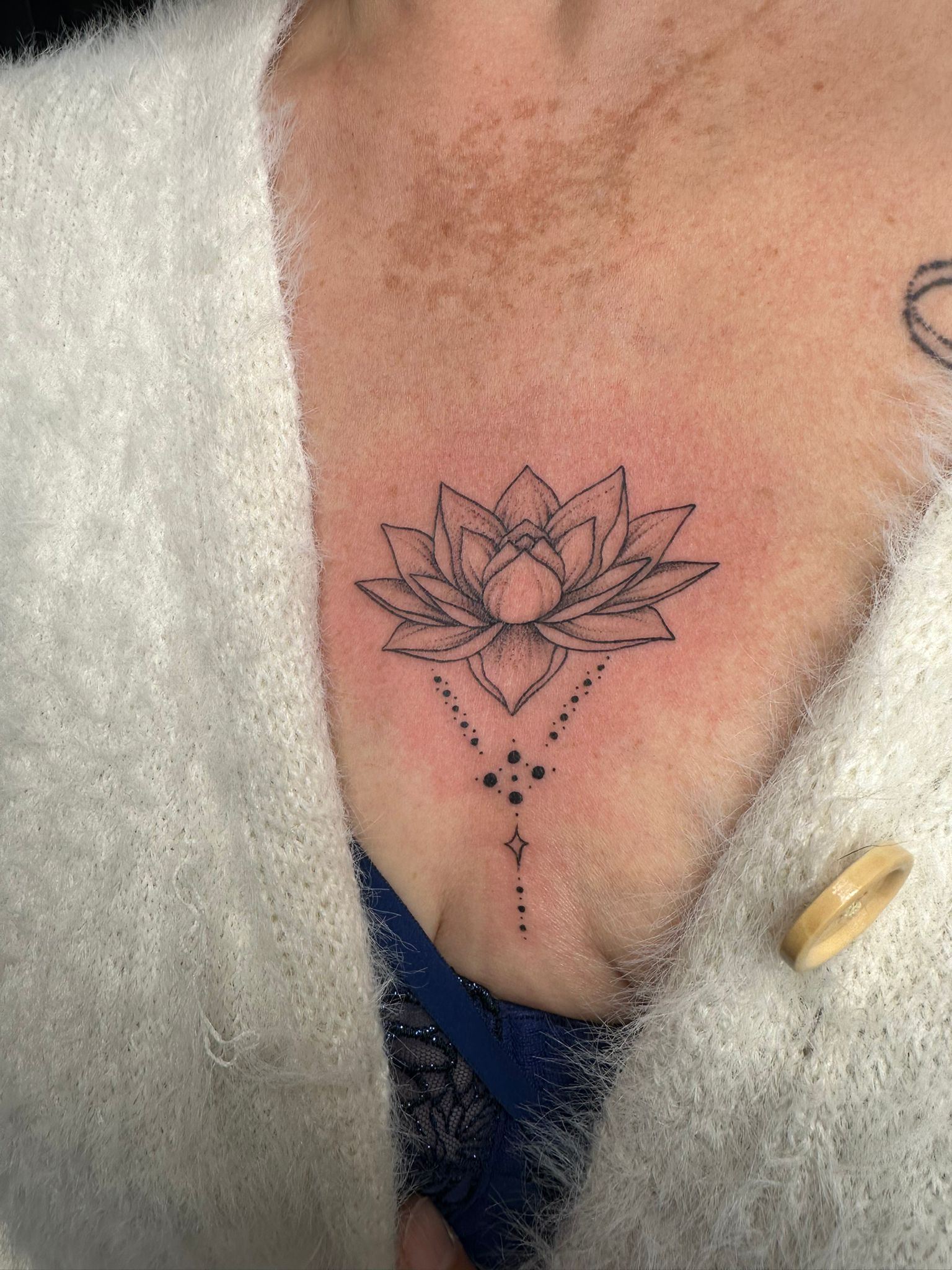 lotus-etoiles