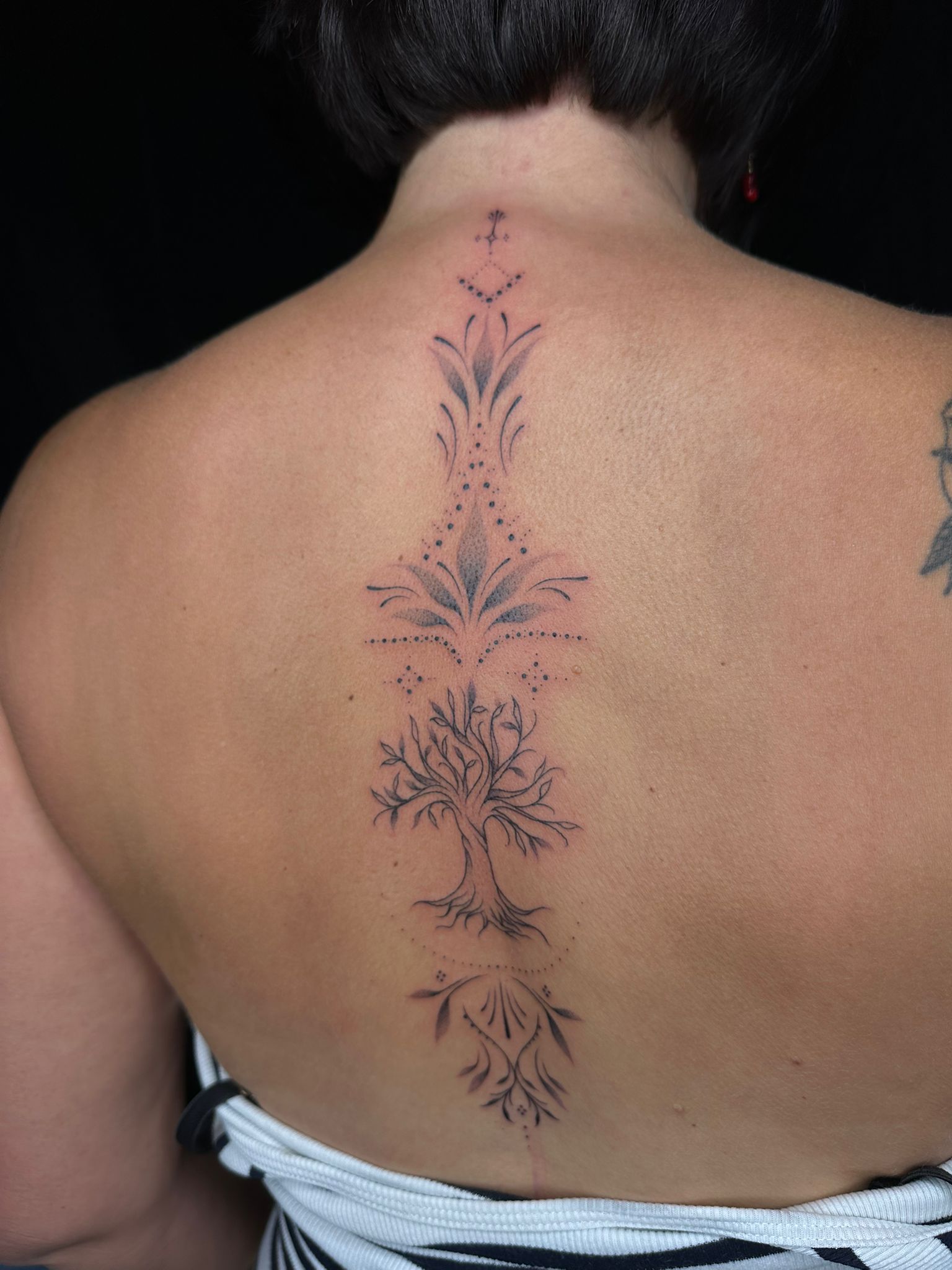 ornemental-arbre-dos