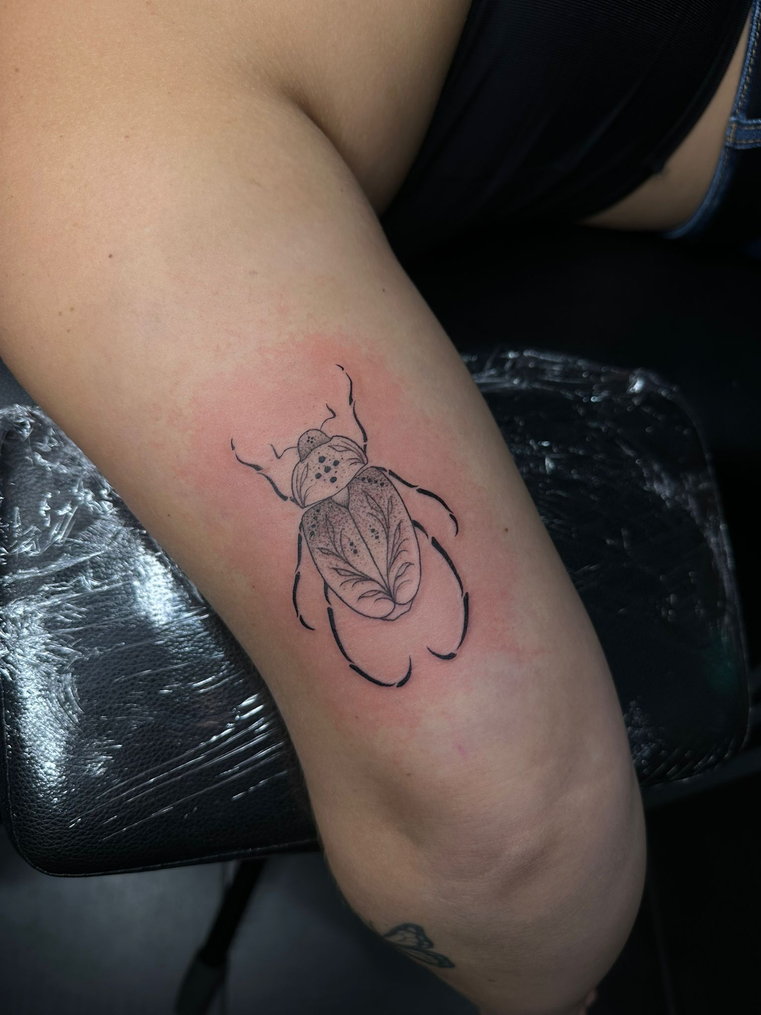scarabee